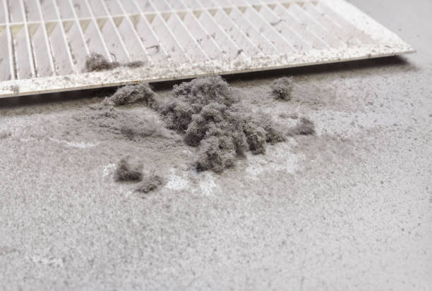 Best Air Duct Cleaning Near Me  in Summerville, SC