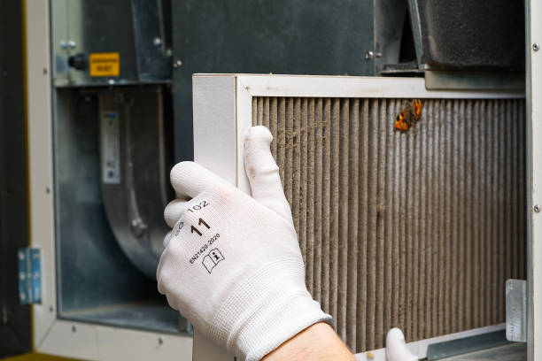 Best Dryer Vent Cleaning Services  in Summerville, SC